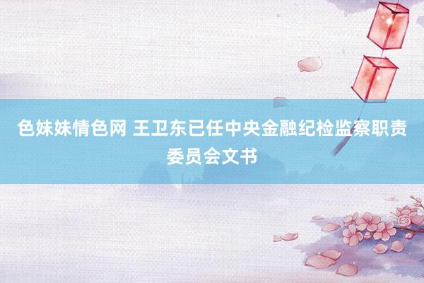 色妹妹情色网 王卫东已任中央金融纪检监察职责委员会文书