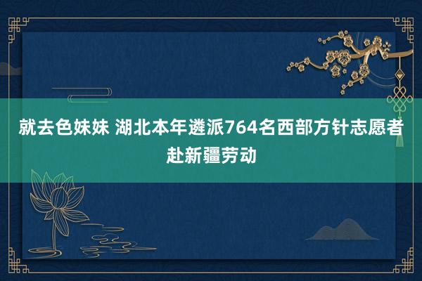 就去色妹妹 湖北本年遴派764名西部方针志愿者赴新疆劳动