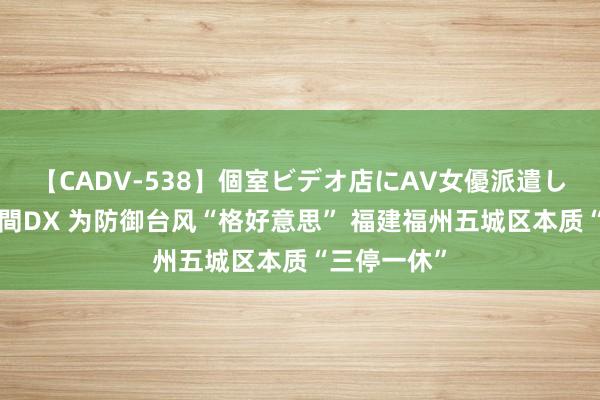 【CADV-538】個室ビデオ店にAV女優派遣します。8時間DX 为防御台风“格好意思” 福建福州五城区本质“三停一休”