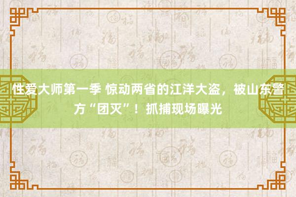 性爱大师第一季 惊动两省的江洋大盗，被山东警方“团灭”！抓捕现场曝光