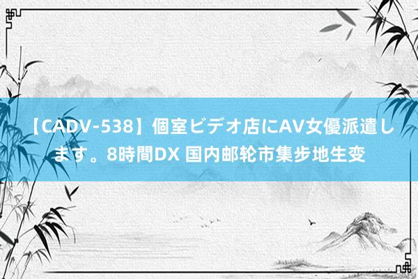 【CADV-538】個室ビデオ店にAV女優派遣します。8時間DX 国内邮轮市集步地生变