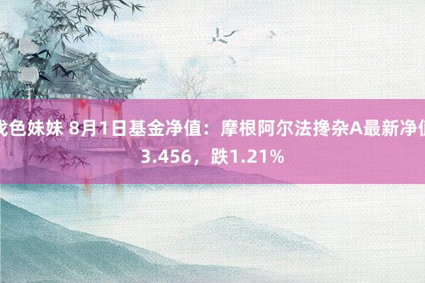 找色妹妹 8月1日基金净值：摩根阿尔法搀杂A最新净值3.456，跌1.21%