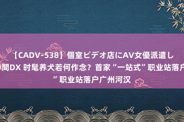 【CADV-538】個室ビデオ店にAV女優派遣します。8時間DX 时髦养犬若何作念？首家“一站式”职业站落户广州河汉