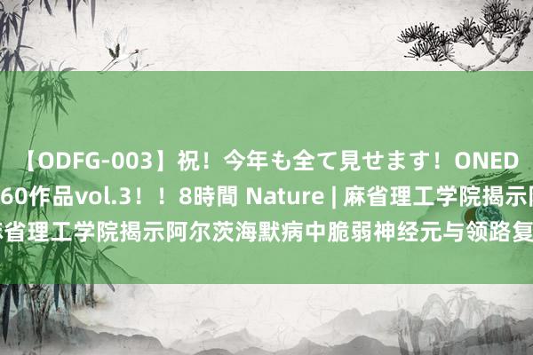 【ODFG-003】祝！今年も全て見せます！ONEDAFULL1年の軌跡全60作品vol.3！！8時間 Nature | 麻省理工学院揭示阿尔茨海默病中脆弱神经元与领路复原能力之谜