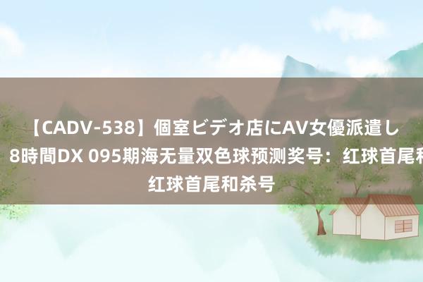 【CADV-538】個室ビデオ店にAV女優派遣します。8時間DX 095期海无量双色球预测奖号：红球首尾和杀号