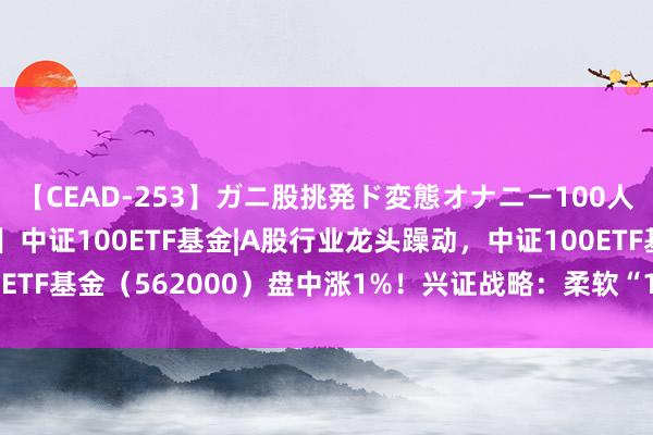 【CEAD-253】ガニ股挑発ド変態オナニー100人8時間 【盘中AI资讯】中证100ETF基金|A股行业龙头躁动，中证100ETF基金（562000）盘中涨1%！兴证战略：柔软“15+3”新时间中枢钞票