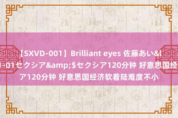 【SXVD-001】Brilliant eyes 佐藤あい</a>2006-11-01セクシア&$セクシア120分钟 好意思国经济软着陆难度不小