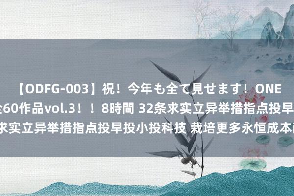 【ODFG-003】祝！今年も全て見せます！ONEDAFULL1年の軌跡全60作品vol.3！！8時間 32条求实立异举措指点投早投小投科技 栽培更多永恒成本耐烦成本