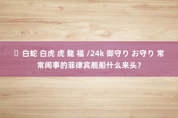 ✨白蛇 白虎 虎 龍 福 /24k 御守り お守り 常常闹事的菲律宾舰船什么来头？