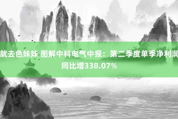 就去色妹妹 图解中科电气中报：第二季度单季净利润同比增338.07%