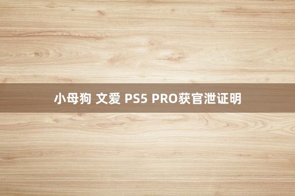 小母狗 文爱 PS5 PRO获官泄证明