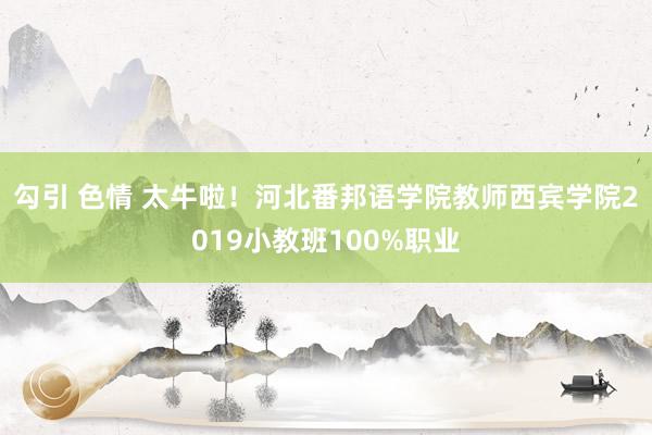 勾引 色情 太牛啦！河北番邦语学院教师西宾学院2019小教班100%职业