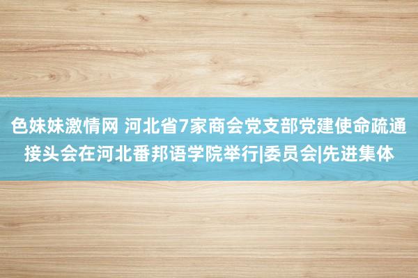 色妹妹激情网 河北省7家商会党支部党建使命疏通接头会在河北番邦语学院举行|委员会|先进集体