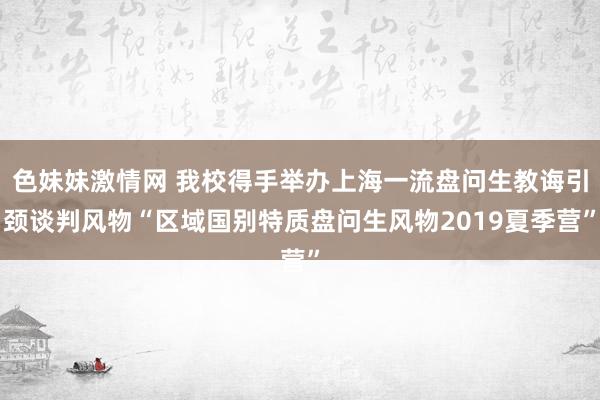 色妹妹激情网 我校得手举办上海一流盘问生教诲引颈谈判风物“区域国别特质盘问生风物2019夏季营”