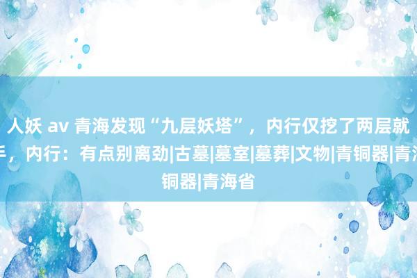 人妖 av 青海发现“九层妖塔”，内行仅挖了两层就停手，内行：有点别离劲|古墓|墓室|墓葬|文物|青铜器|青海省