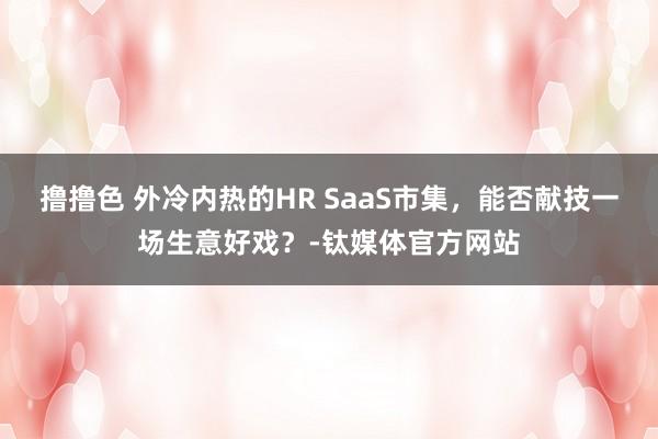 撸撸色 外冷内热的HR SaaS市集，能否献技一场生意好戏？-钛媒体官方网站