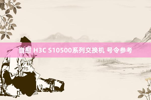 自慰 H3C S10500系列交换机 号令参考