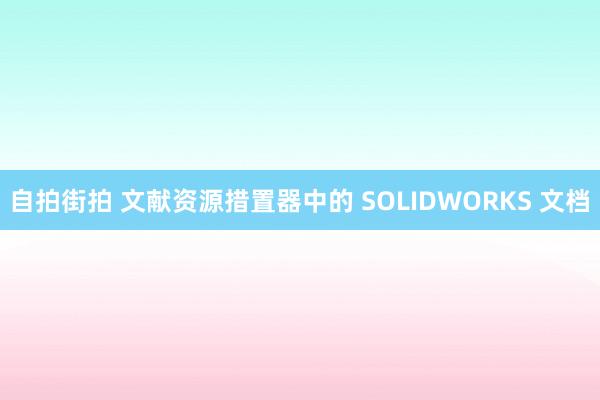 自拍街拍 文献资源措置器中的 SOLIDWORKS 文档