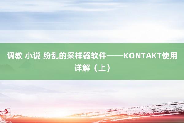 调教 小说 纷乱的采样器软件──KONTAKT使用详解（上）