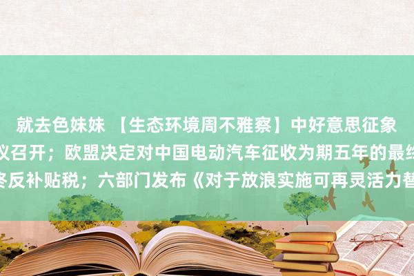 就去色妹妹 【生态环境周不雅察】中好意思征象手脚责任组甲烷小组会议召开；欧盟决定对中国电动汽车征收为期五年的最终反补贴税；六部门发布《对于放浪实施可再灵活力替代手脚的带领主见》|关税