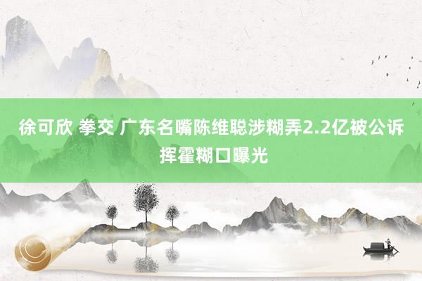 徐可欣 拳交 广东名嘴陈维聪涉糊弄2.2亿被公诉 挥霍糊口曝光