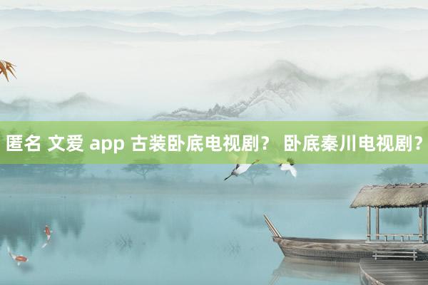 匿名 文爱 app 古装卧底电视剧？ 卧底秦川电视剧？